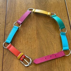 Vintage Express belt